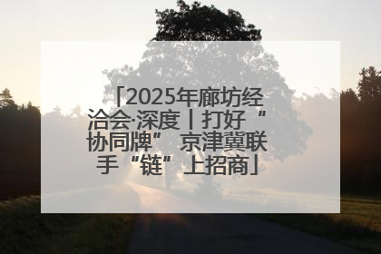 2025年廊坊经洽会·深度丨打好“协同牌” 京津冀联手“链”上招商