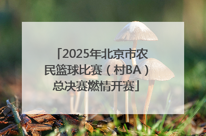 2025年北京市农民篮球比赛（村BA）总决赛燃情开赛