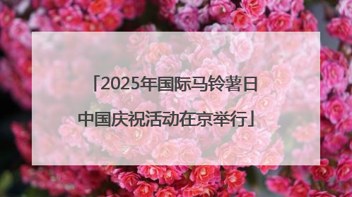 2025年国际马铃薯日中国庆祝活动在京举行