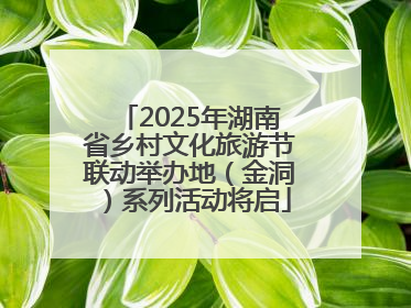 2025年湖南省乡村文化旅游节联动举办地（金洞）系列活动将启