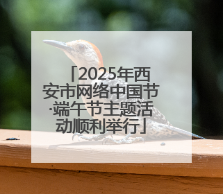 2025年西安市网络中国节·端午节主题活动顺利举行