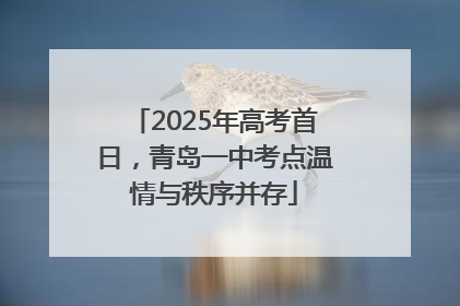 2025年高考首日，青岛一中考点温情与秩序并存