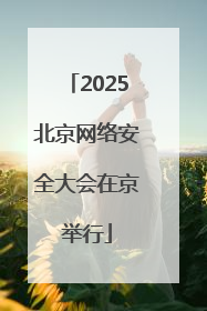2025北京网络安全大会在京举行