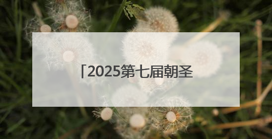 2025第七届朝圣之路自行车系列赛——“孝贤故里”环鱼台100公里挑战赛启幕