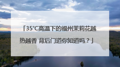 35℃高温下的福州茉莉花越热越香 背后门道你知道吗？