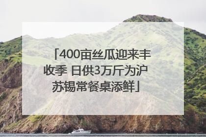 400亩丝瓜迎来丰收季 日供3万斤为沪苏锡常餐桌添鲜