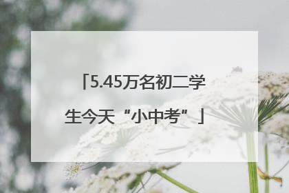 5.45万名初二学生今天“小中考”