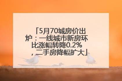 5月70城房价出炉：一线城市新房环比涨幅转降0.2%，二手房降幅扩大