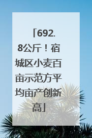 692.8公斤！宿城区小麦百亩示范方平均亩产创新高