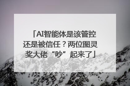 AI智能体是该管控还是被信任？两位图灵奖大佬“吵”起来了