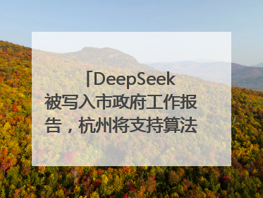 DeepSeek被写入市政府工作报告，杭州将支持算法模型企业发展