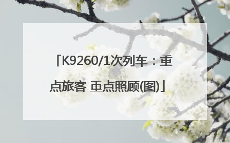 K9260/1次列车：重点旅客 重点照顾(图)
