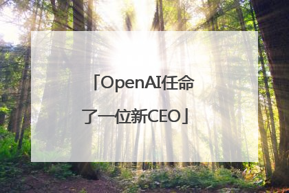 OpenAI任命了一位新CEO