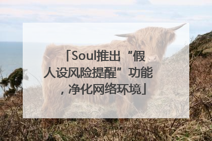 Soul推出“假人设风险提醒”功能，净化网络环境