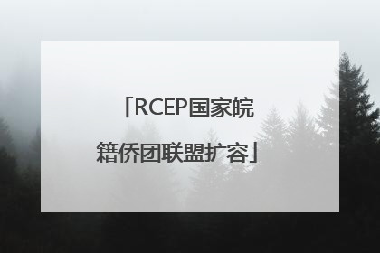 RCEP国家皖籍侨团联盟扩容