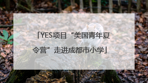 YES项目“美国青年夏令营”走进成都市小学